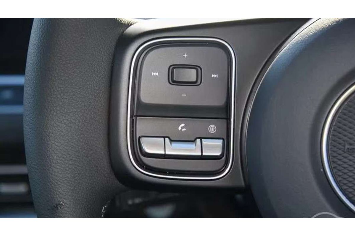 2025 GWM Cannon Vanta NPW 4X4