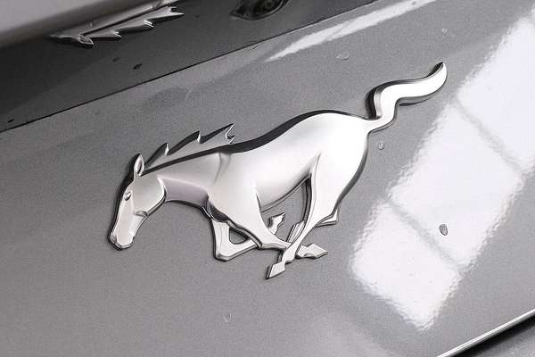 2024 Ford Mustang Ecoboost FO