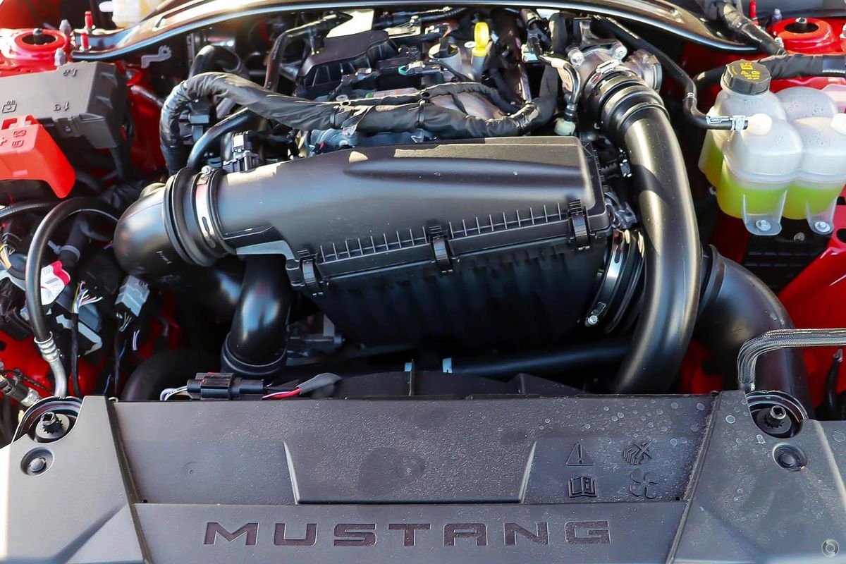 2025 Ford Mustang Ecoboost FO