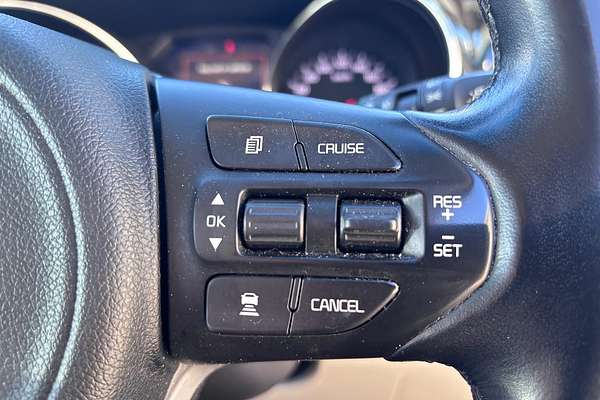 2015 Kia Carnival Platinum YP