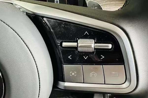 2025 GWM Cannon Alpha Lux PHEV P05 4X4