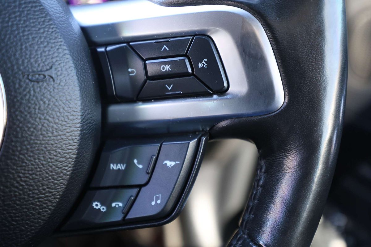 2019 Ford Mustang GT FN