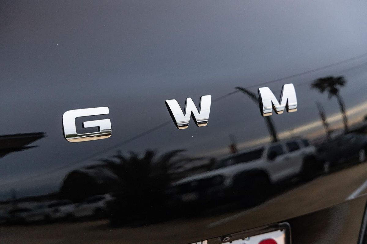 2025 GWM Ora Standard Range ES11