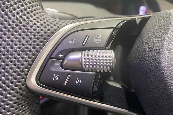 2024 SKODA Enyaq RS NY