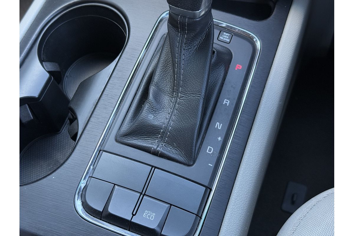 2016 Kia Carnival S YP