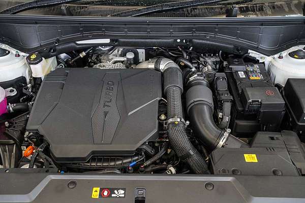 2025 Hyundai Santa Fe Calligraphy MX5.V1