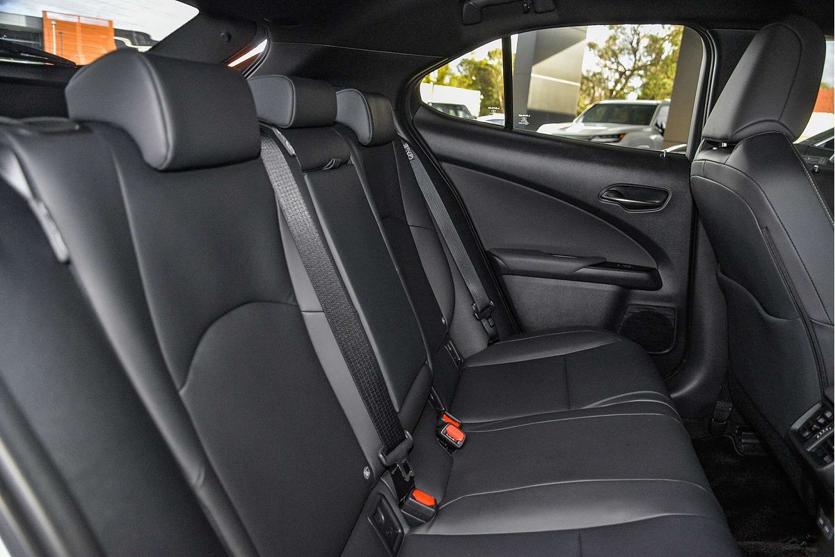 2025 Lexus UX UX300h Luxury MZAH11R