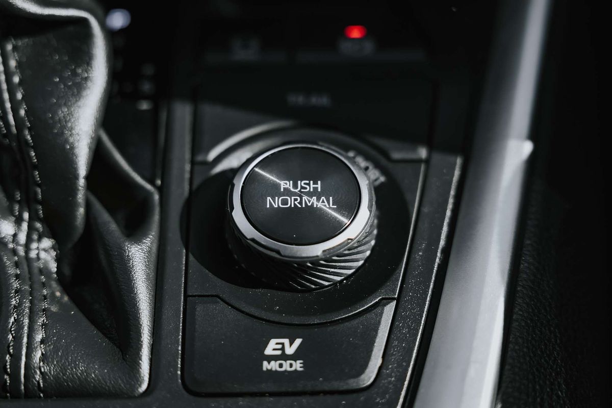 2019 Toyota RAV4 Cruiser AXAH54R