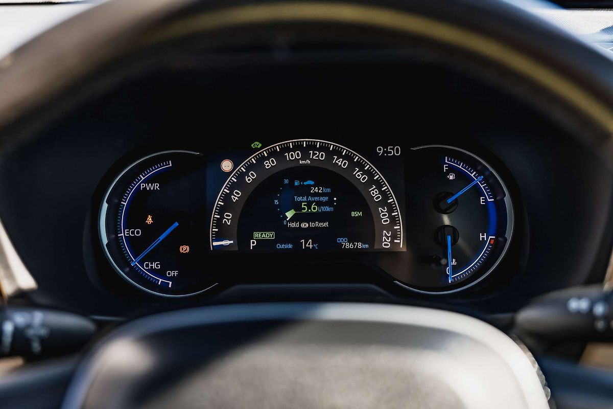 2019 Toyota RAV4 Cruiser AXAH54R