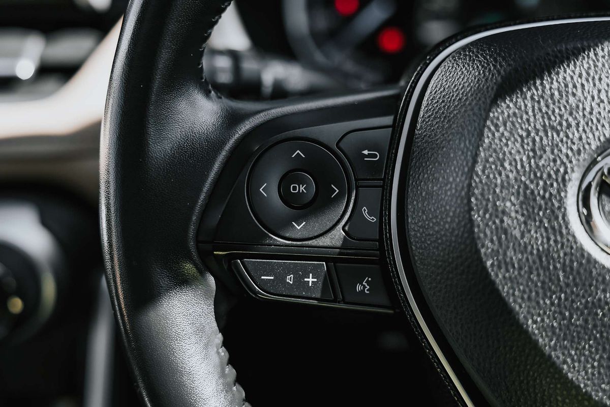 2019 Toyota RAV4 Cruiser AXAH54R
