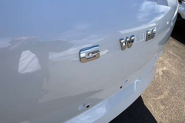 2025 GWM Ora Extended Range ES11