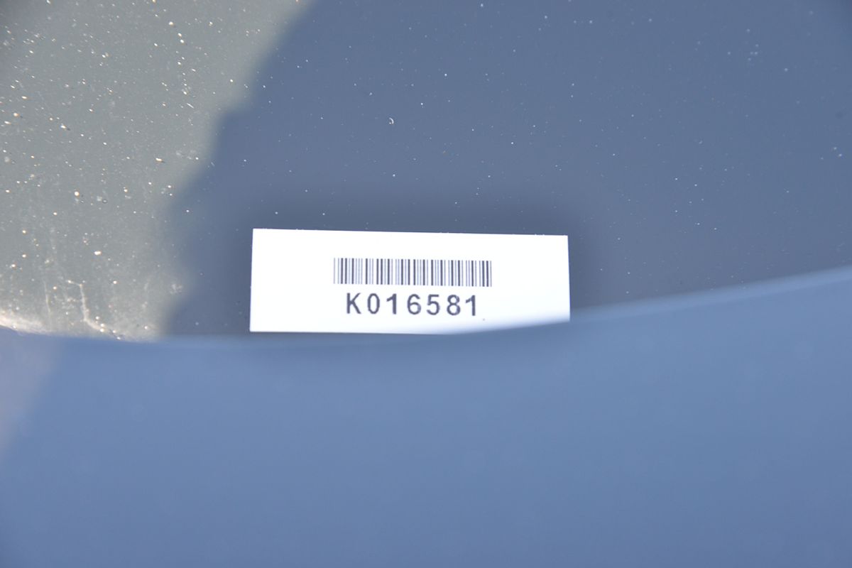 2025 Kia EV5 Earth OVc