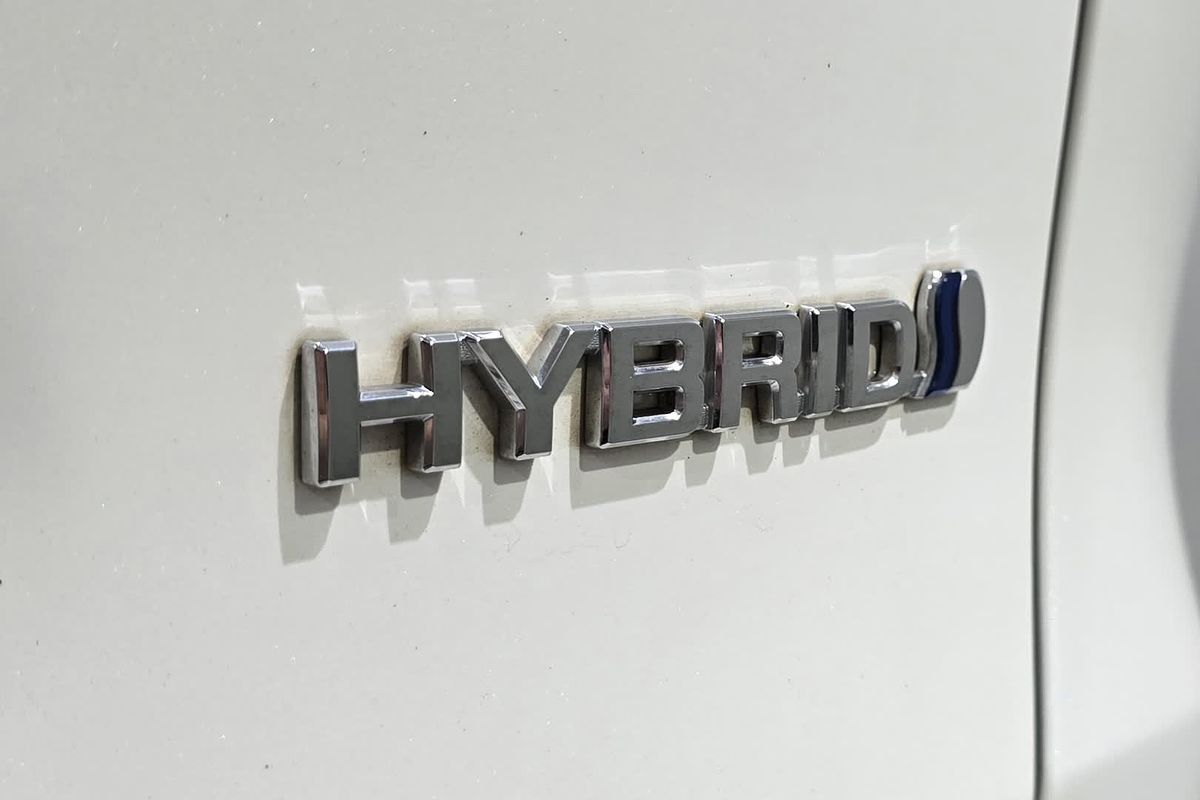 2019 Toyota RAV4 GXL AXAH52R