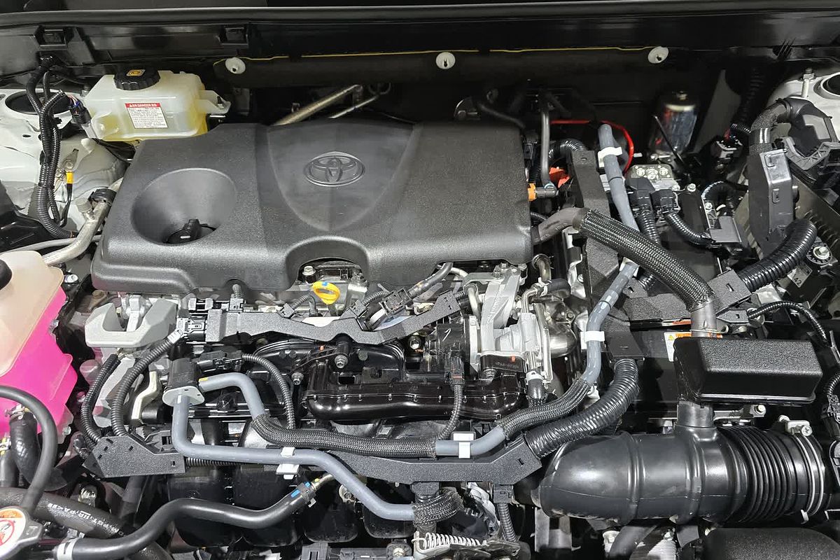2019 Toyota RAV4 GXL AXAH52R