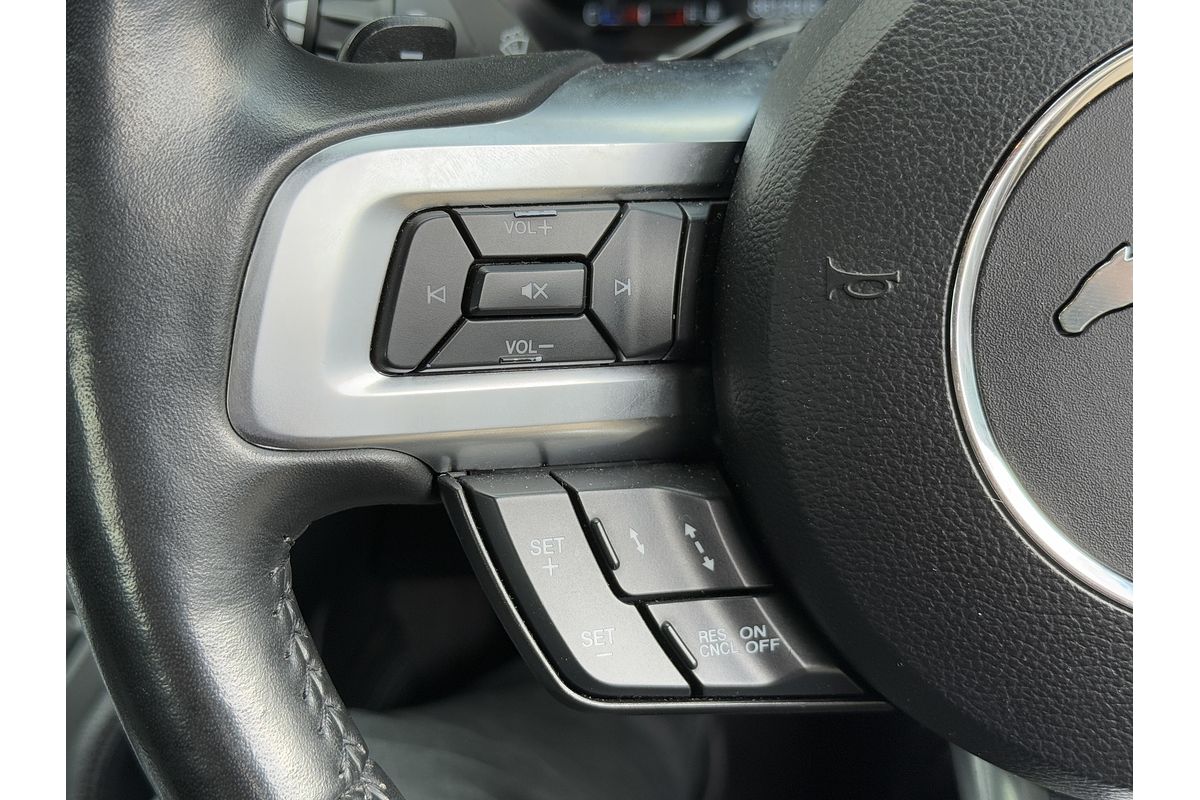 2019 Ford Mustang GT FN
