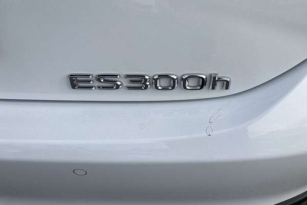 2024 Lexus ES ES300h F Sport AXZH10R