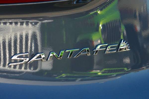 2021 Hyundai Santa Fe Active TM.V3