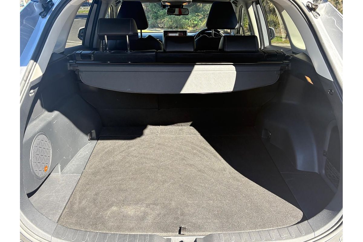 2019 Toyota RAV4 Cruiser AXAH54R