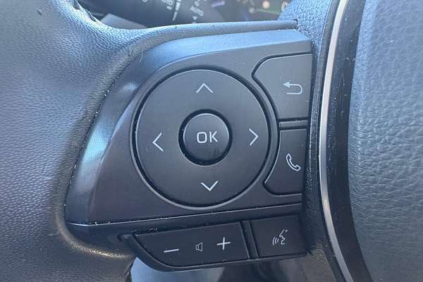 2019 Toyota RAV4 Cruiser AXAH54R