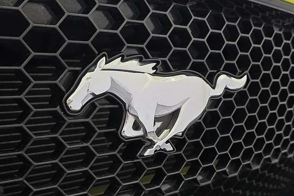 2021 Ford Mustang GT FN