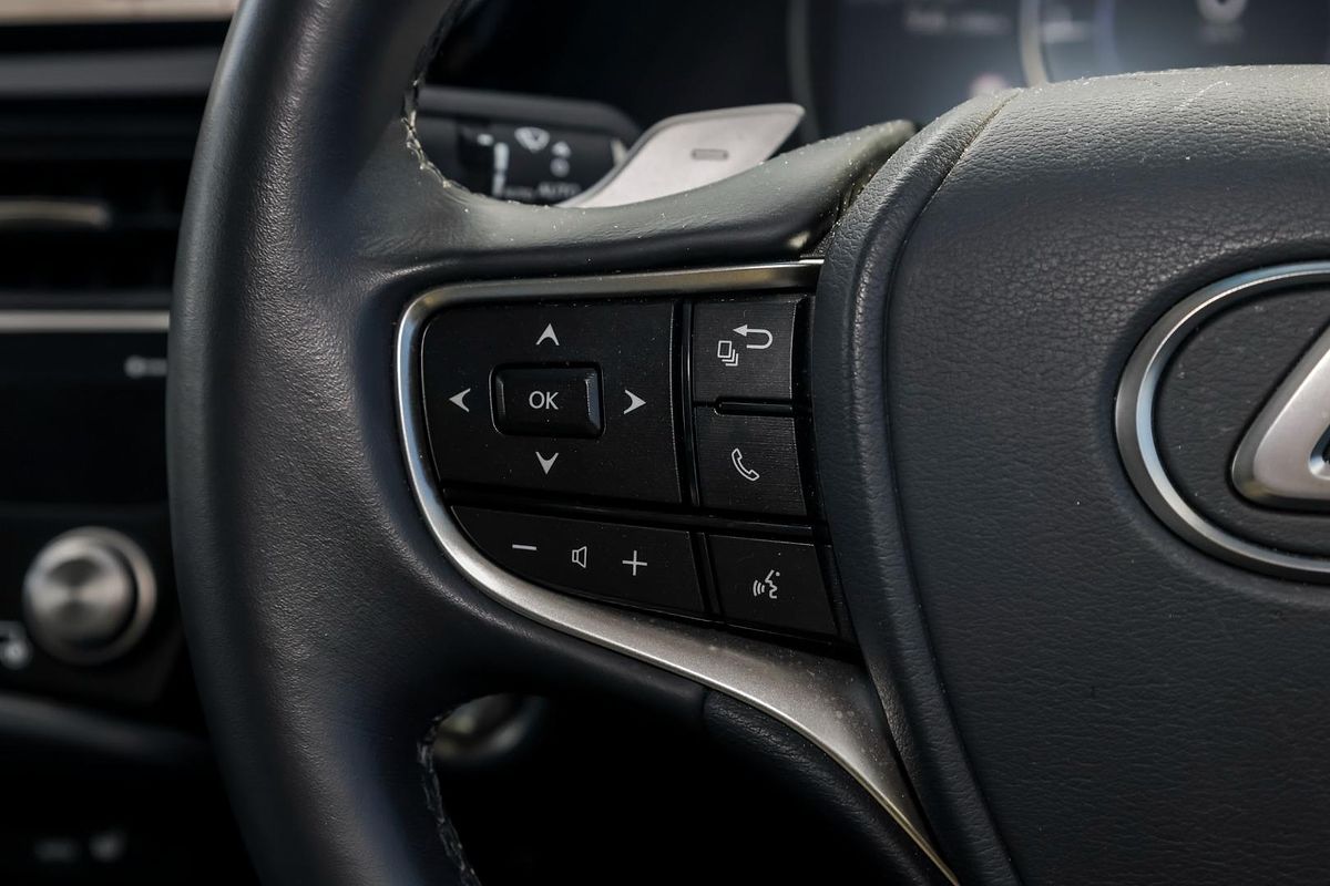 2022 Lexus ES ES250 Luxury AXZA10R