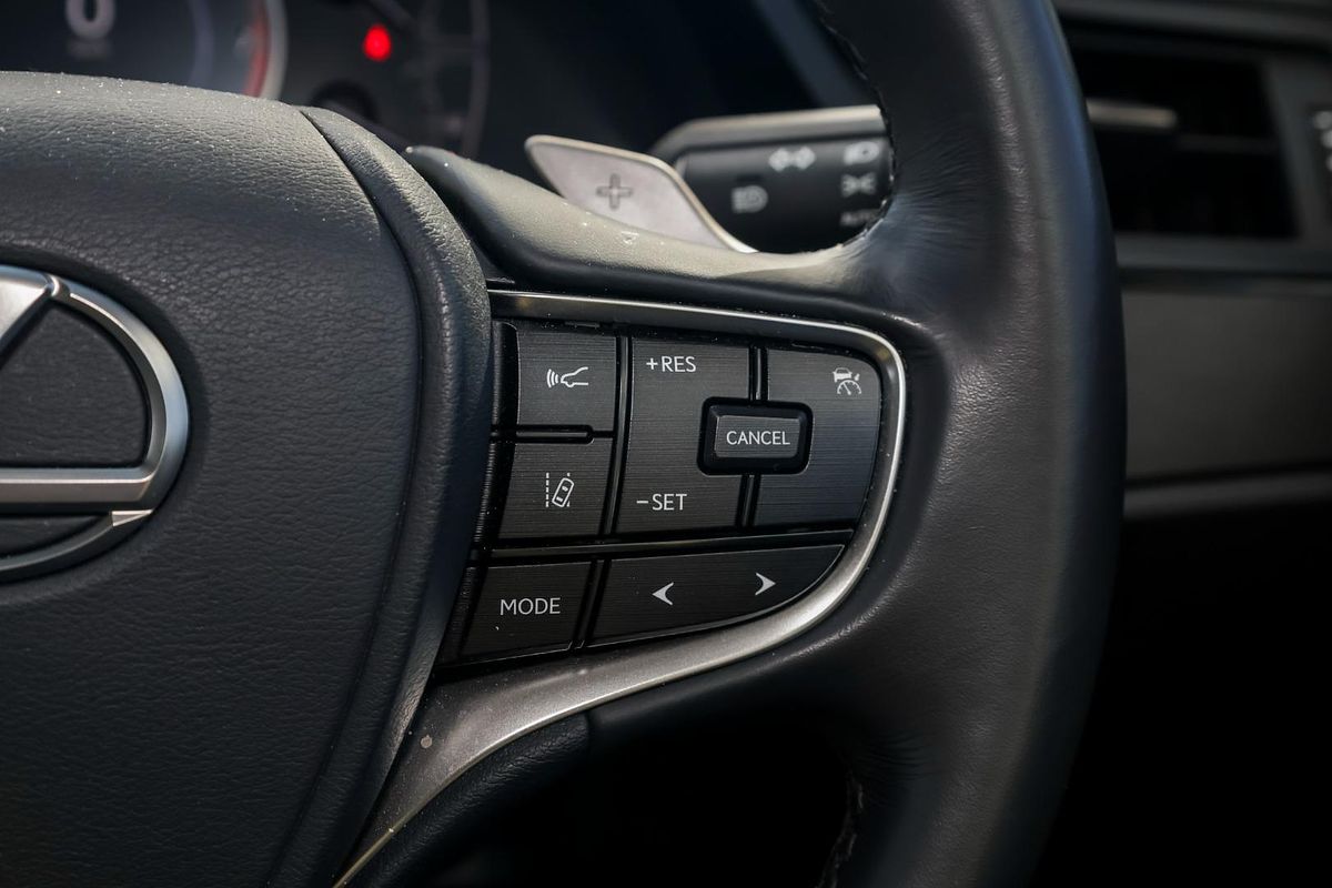 2022 Lexus ES ES250 Luxury AXZA10R