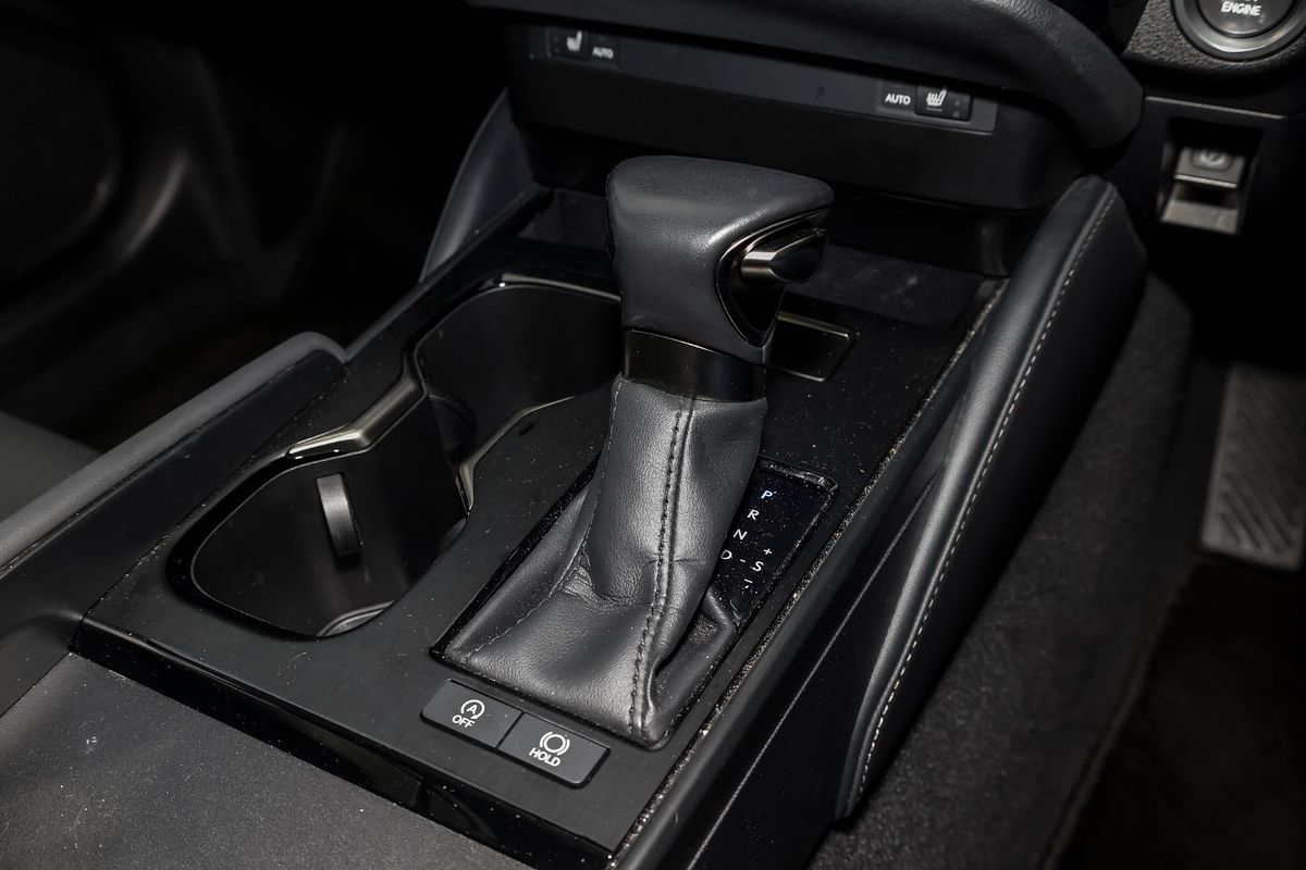 2022 Lexus ES ES250 Luxury AXZA10R