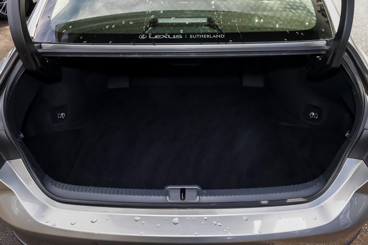 2022 Lexus ES ES250 Luxury AXZA10R