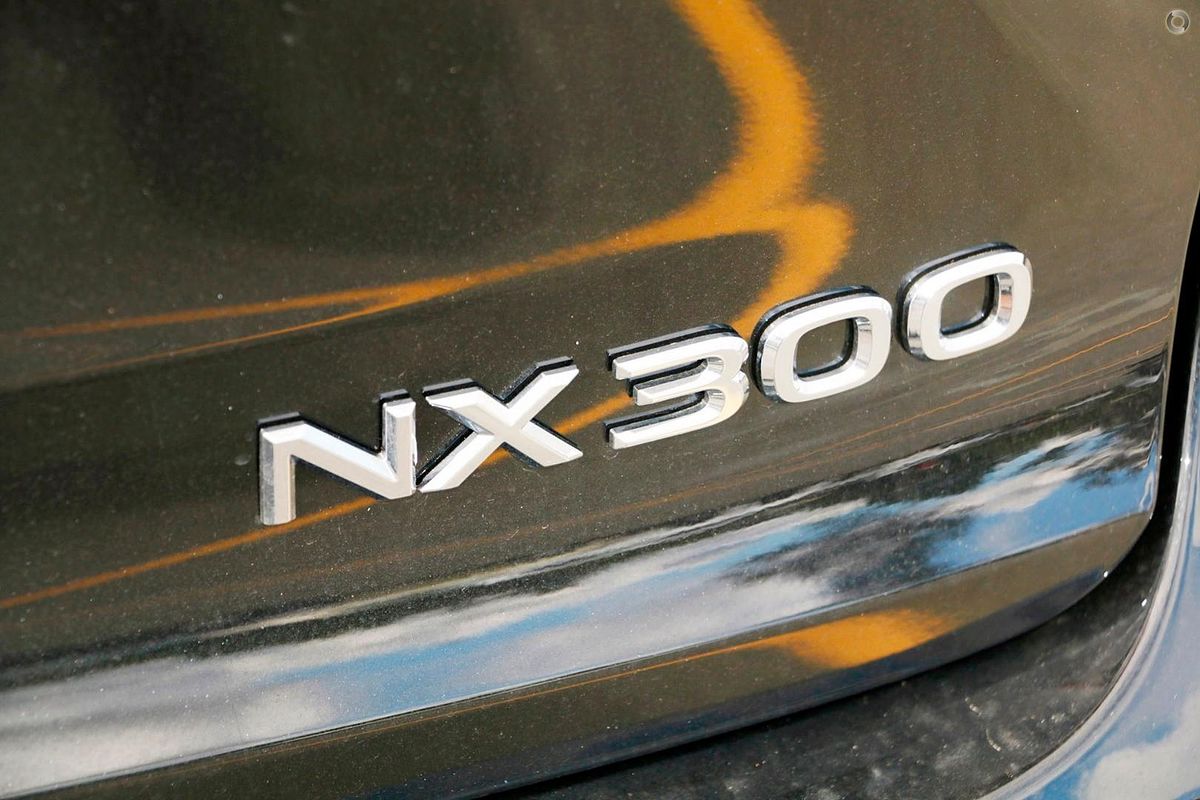 2021 Lexus NX NX300 Luxury AGZ10R