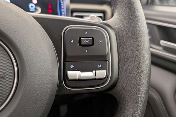 2025 GWM Ute Cannon Premium CC NPW 4X4