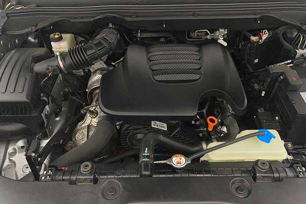2024 GWM Ute Cannon-L CC NPW 4X4