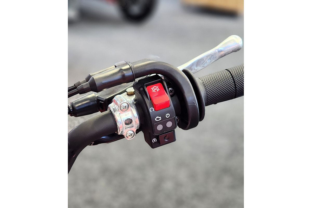 2024 Honda CRF110