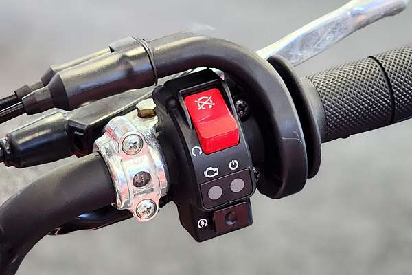2024 Honda CRF110