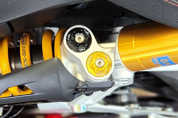 2024 Ducati PANIGALE V2 BAYLISS SPECIAL