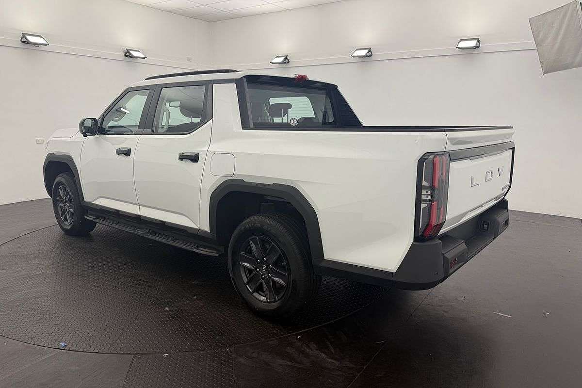 2025 LDV Terron 9 Origin EKK1C 4X4