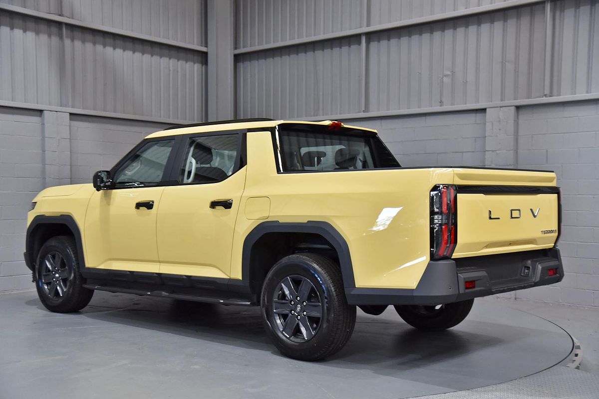 2025 LDV Terron 9 Origin EKK1C 4X4