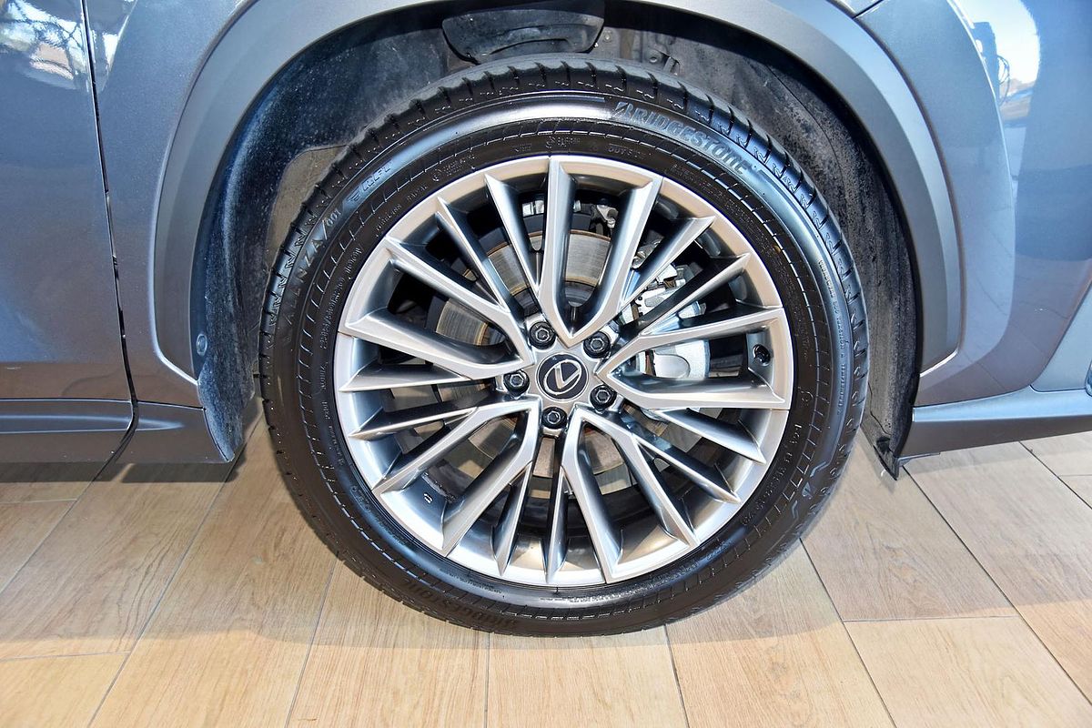 2023 Lexus NX NX350h Sports Luxury AAZH20R