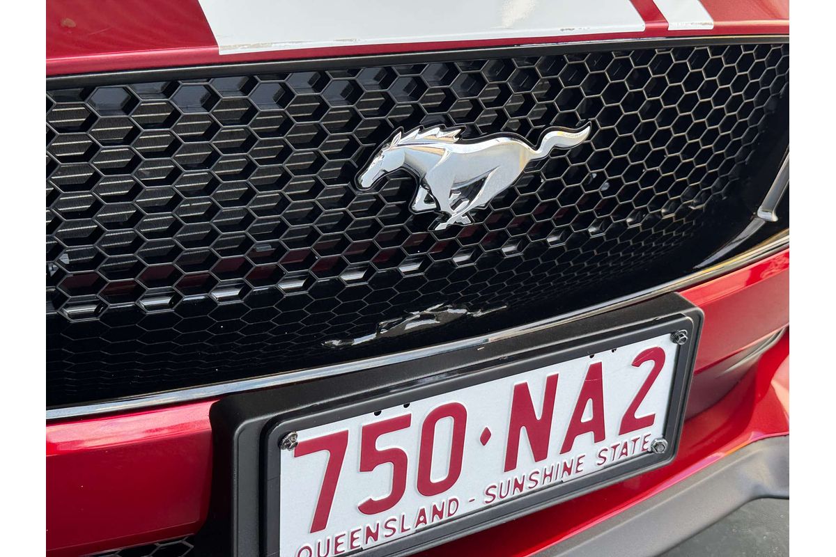 2019 Ford Mustang GT FN