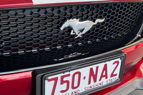 2019 Ford Mustang GT FN