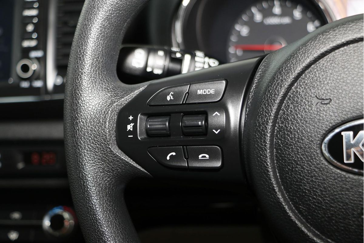 2019 Kia Carnival S YP