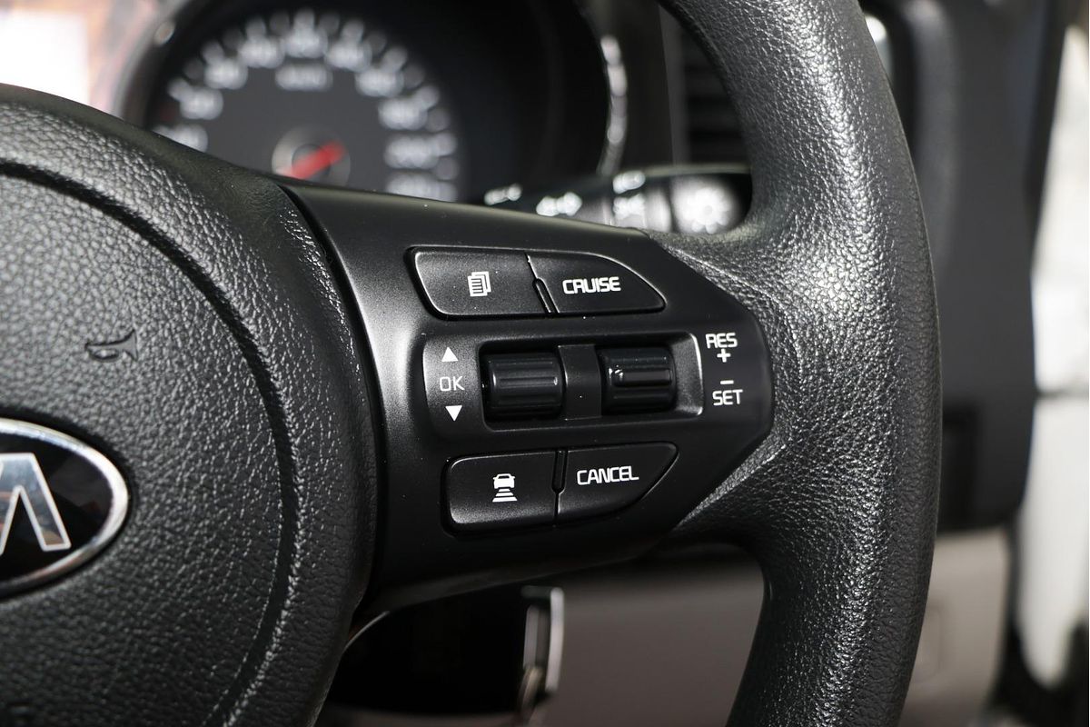 2019 Kia Carnival S YP