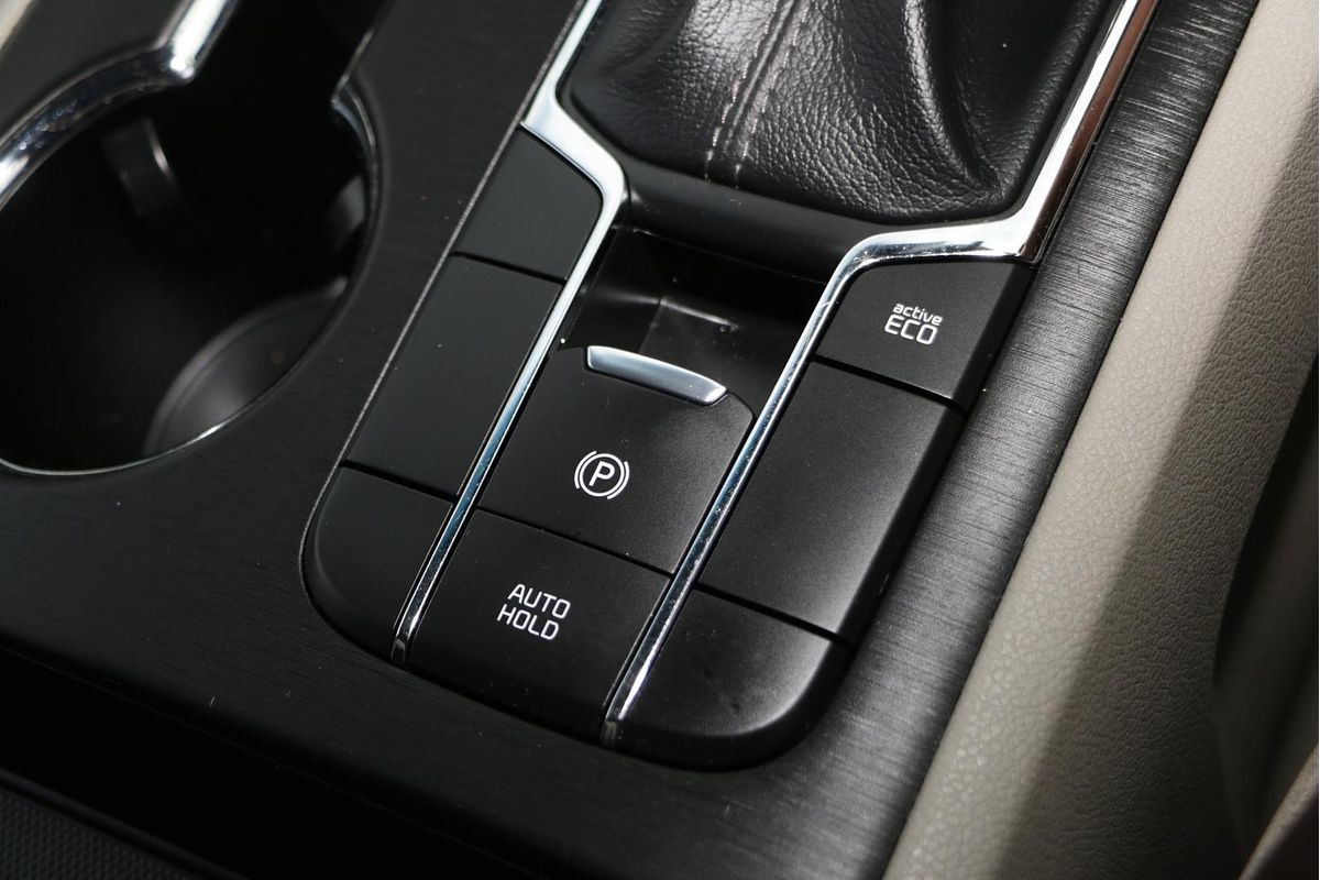 2019 Kia Carnival S YP