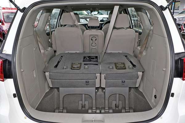 2019 Kia Carnival S YP