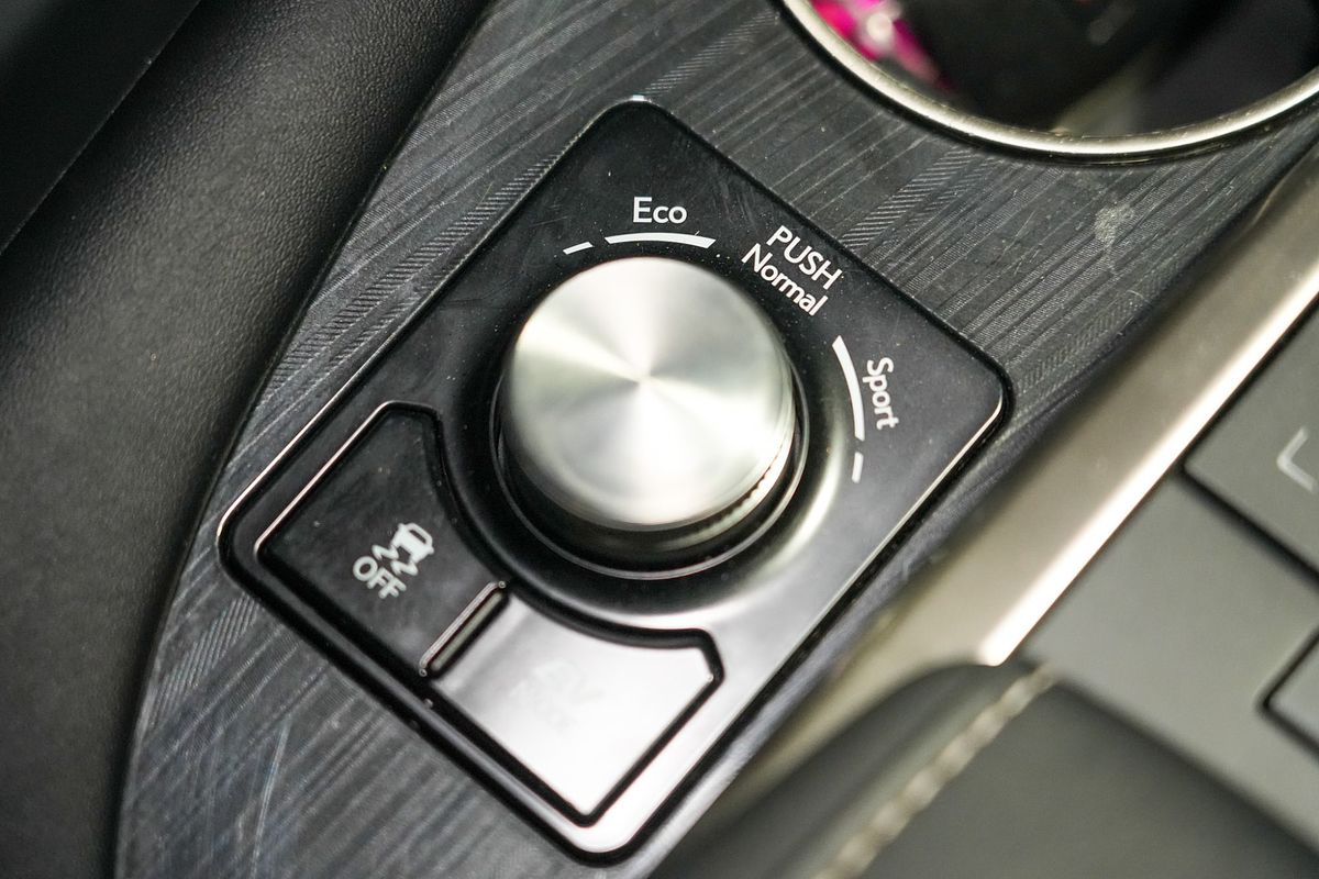 2021 Lexus RX RX450h Luxury GYL25R