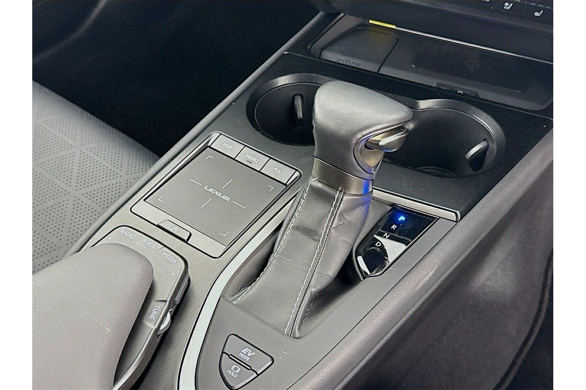 2020 Lexus UX UX250h Luxury MZAH10R