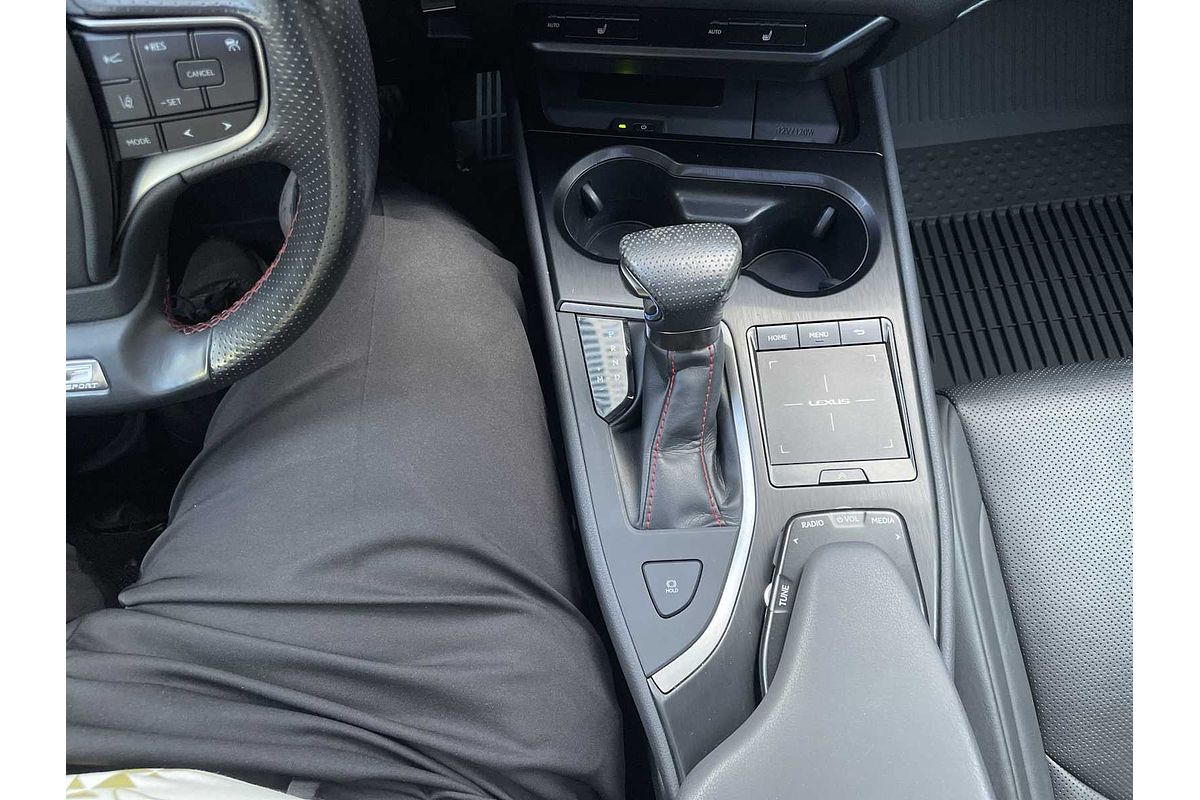 2020 Lexus UX UX 200 F SPORT