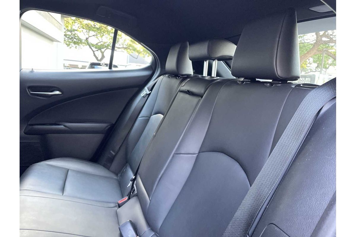 2020 Lexus UX UX 200 F SPORT