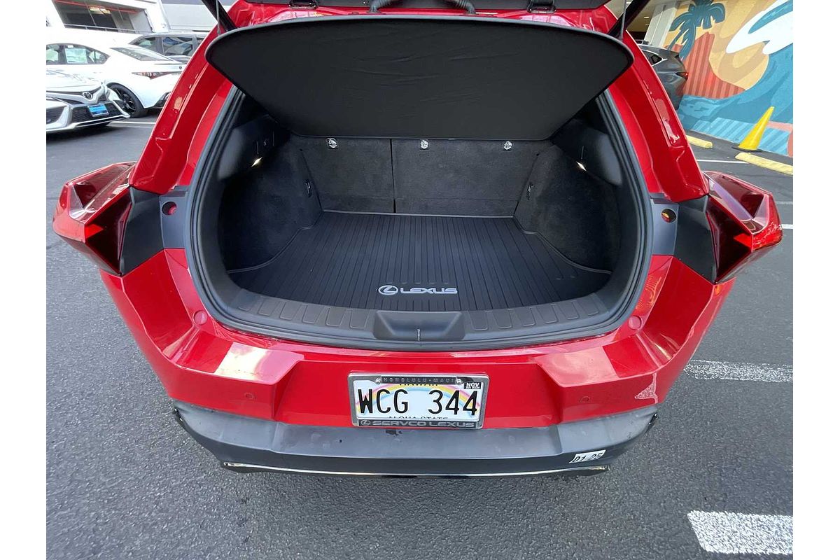 2020 Lexus UX UX 200 F SPORT