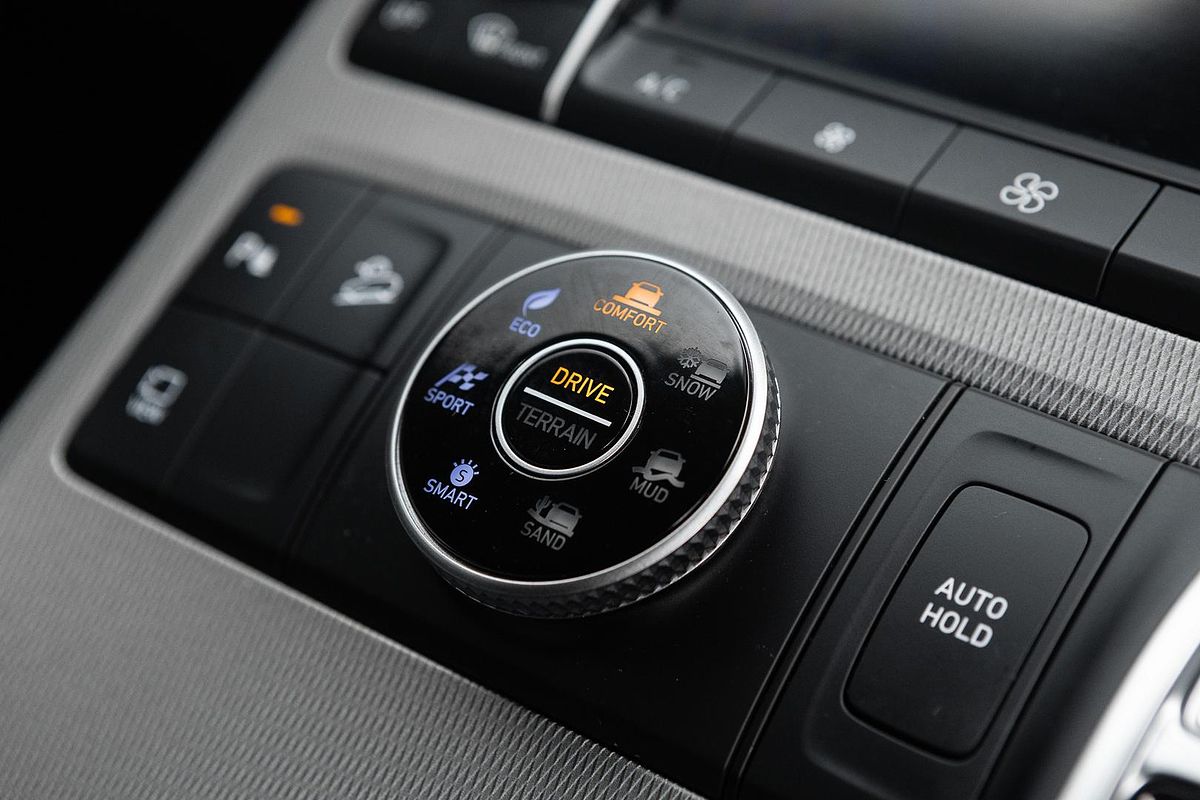2020 Hyundai Palisade LX2.V1