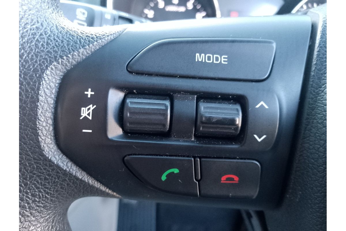 2017 Kia Carnival S YP